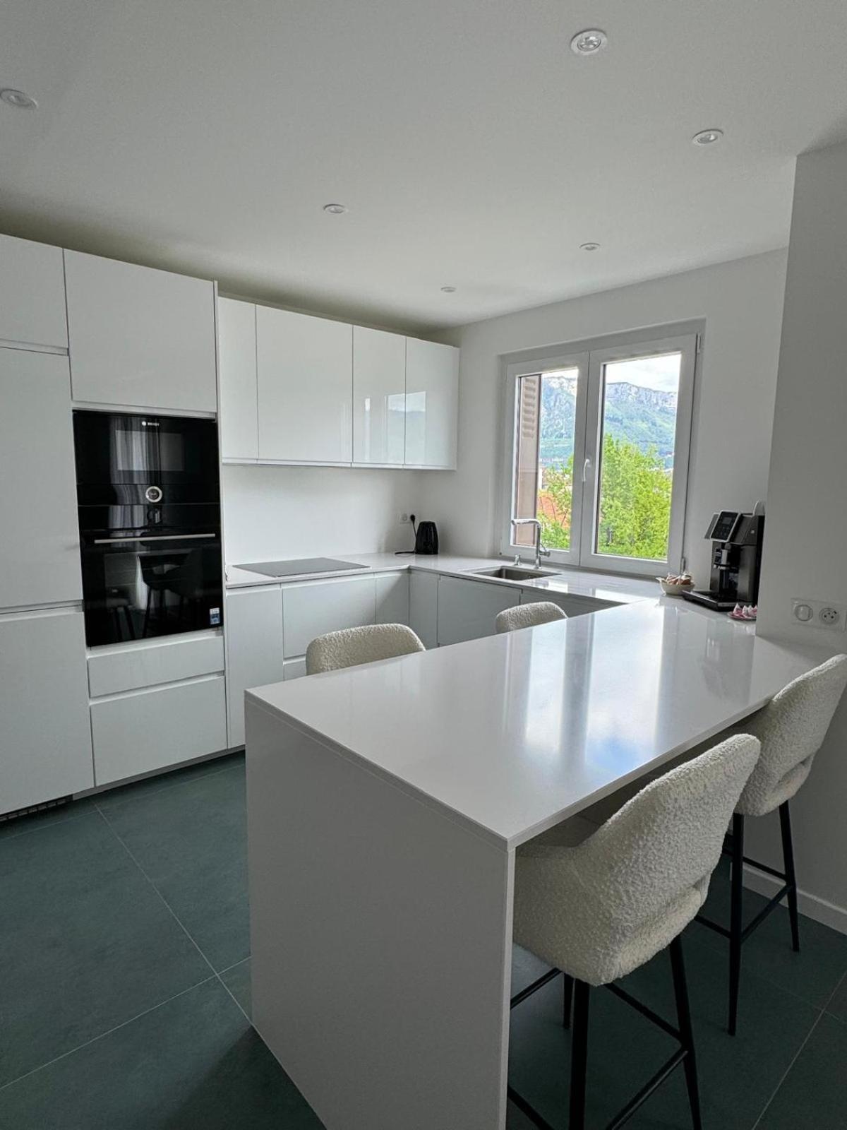Modern Green & White - Apartments T3 60M2 Annecy - Parking Prive - Wifi - Netflix Kültér fotó